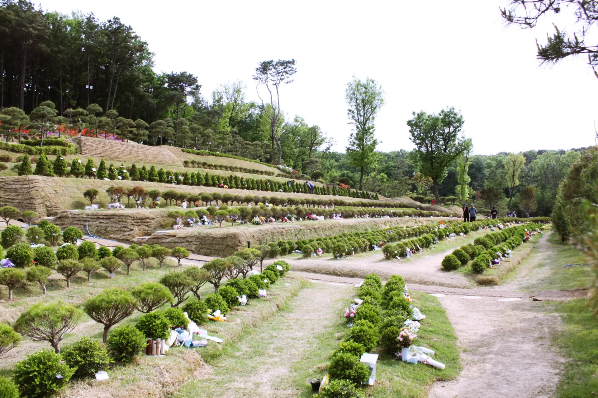 place image