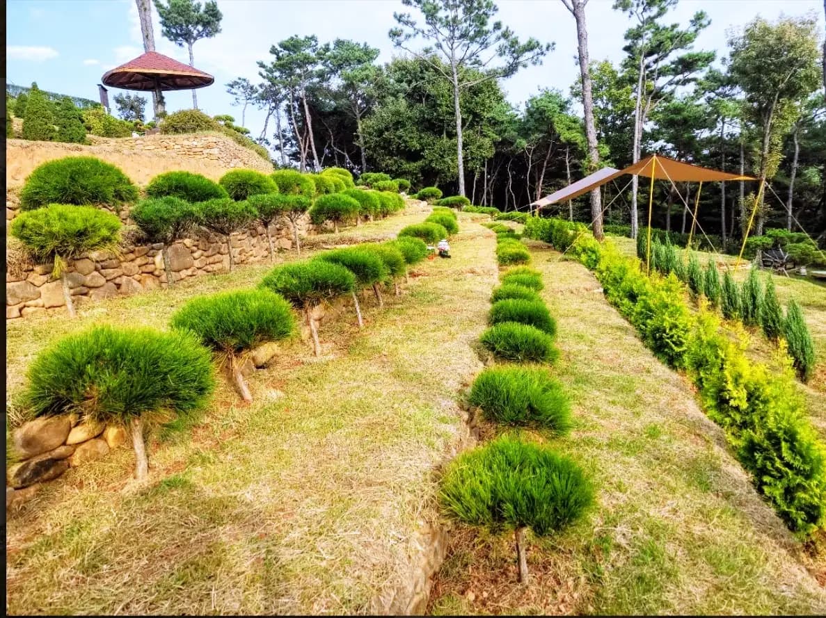 place image