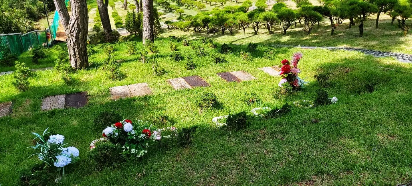 place image