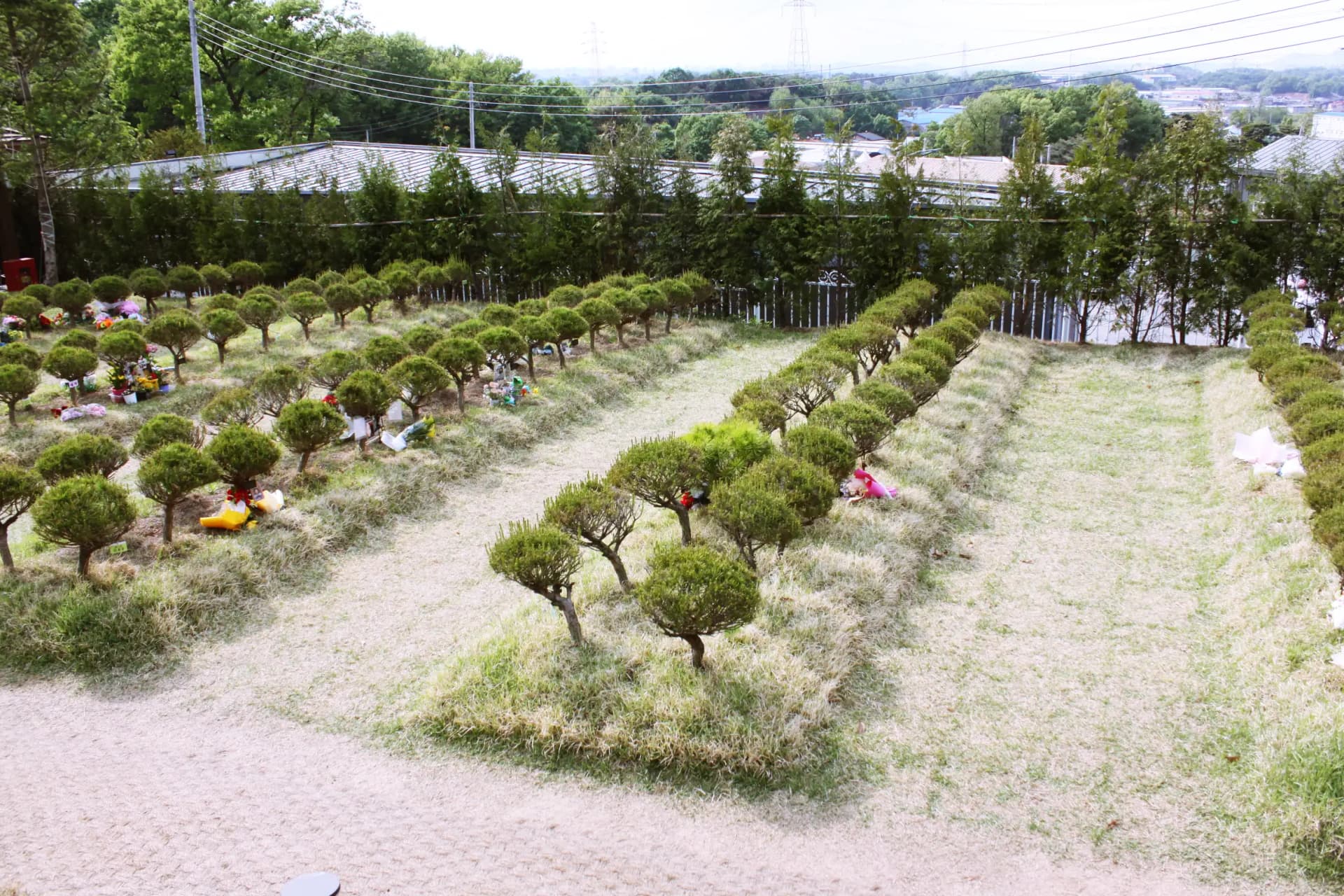 place image