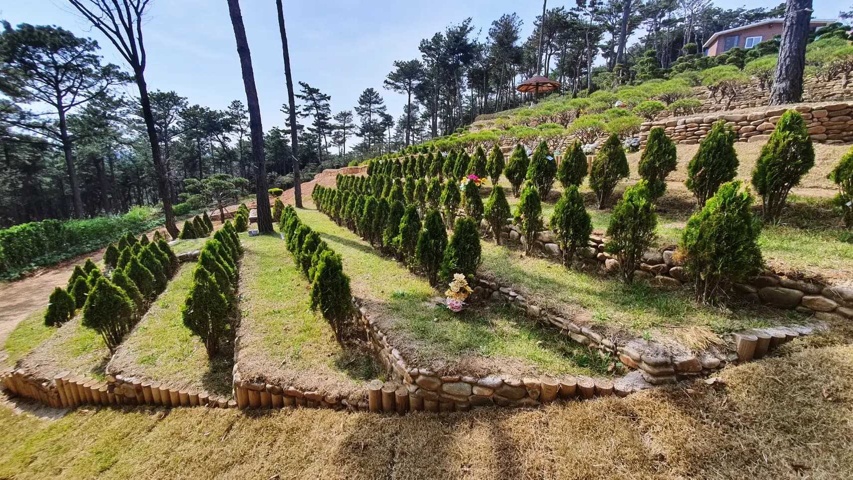 place image