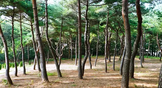 place image