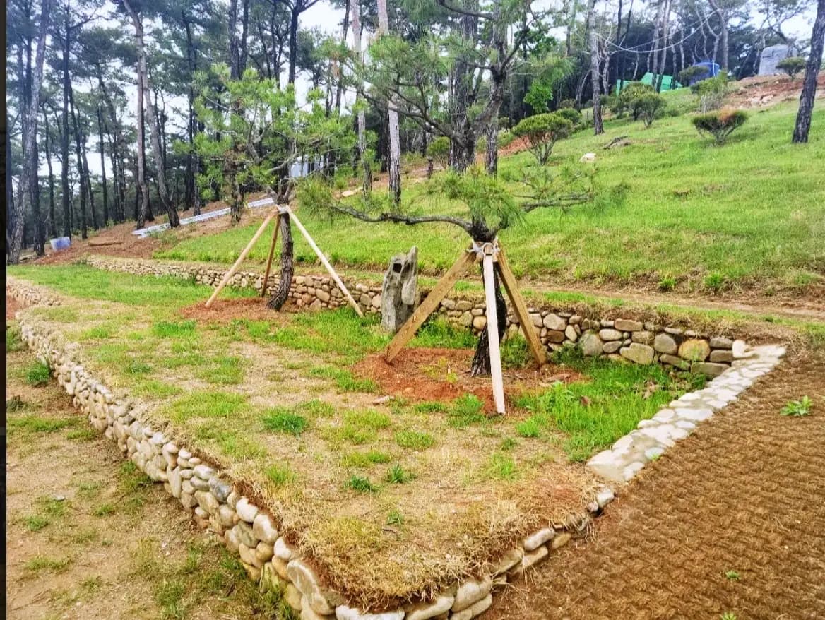 place image