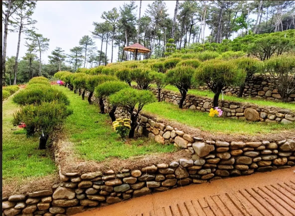 place image