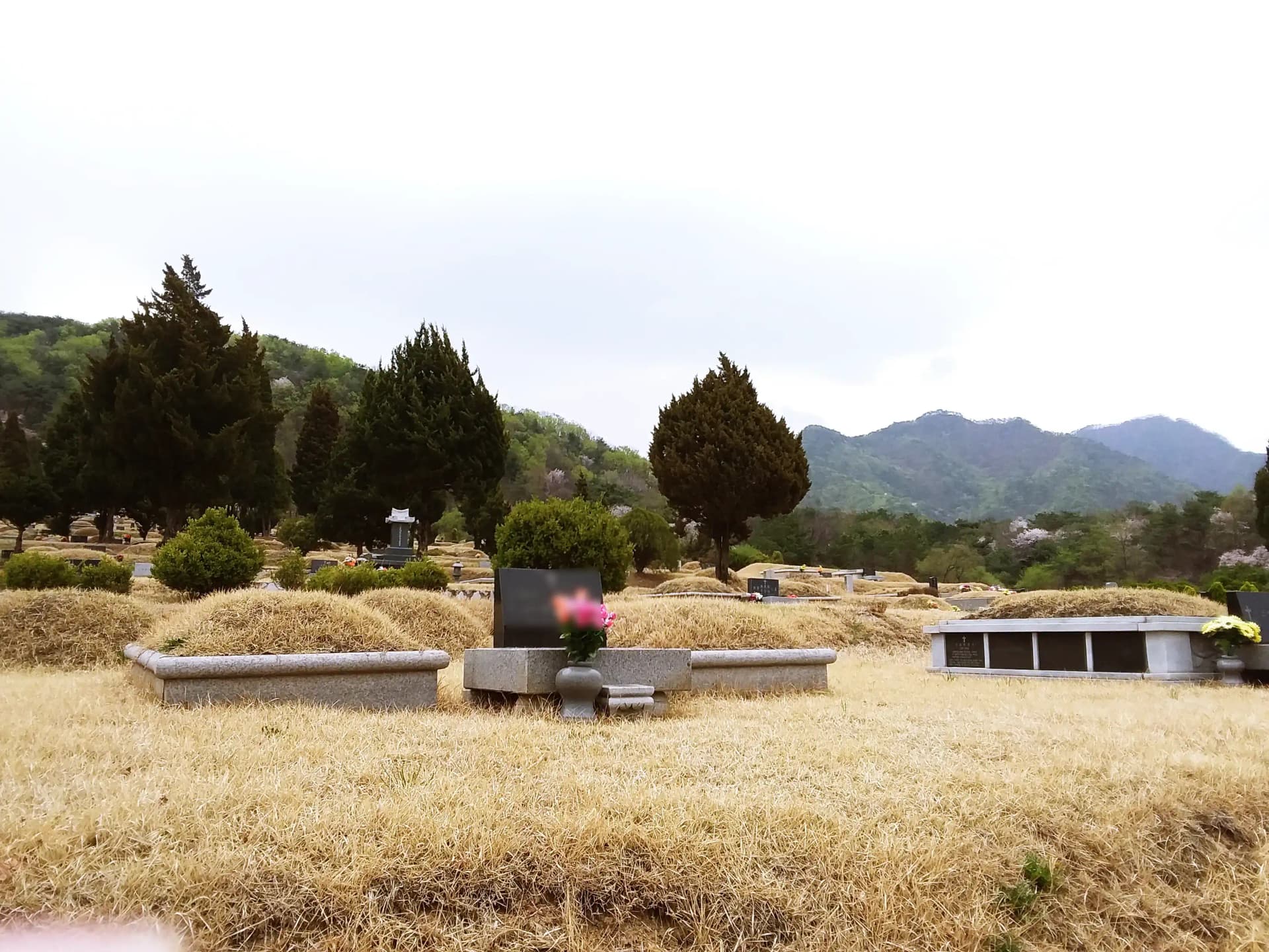 place image