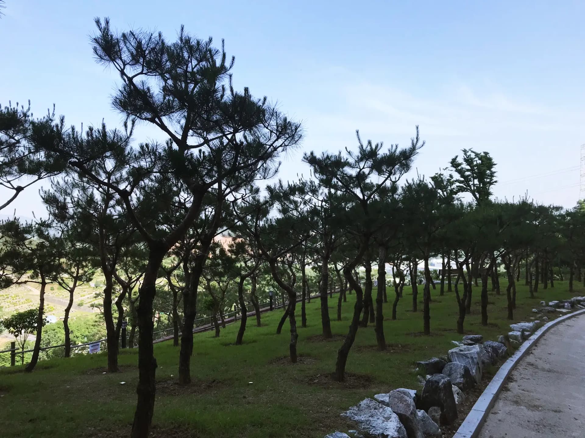 place image