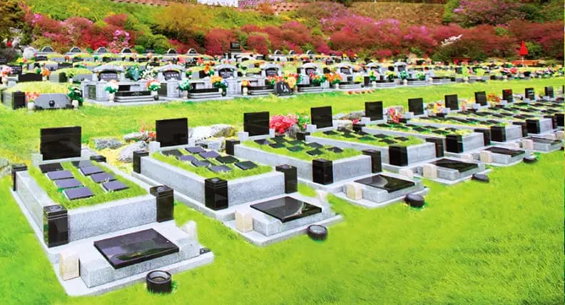place image