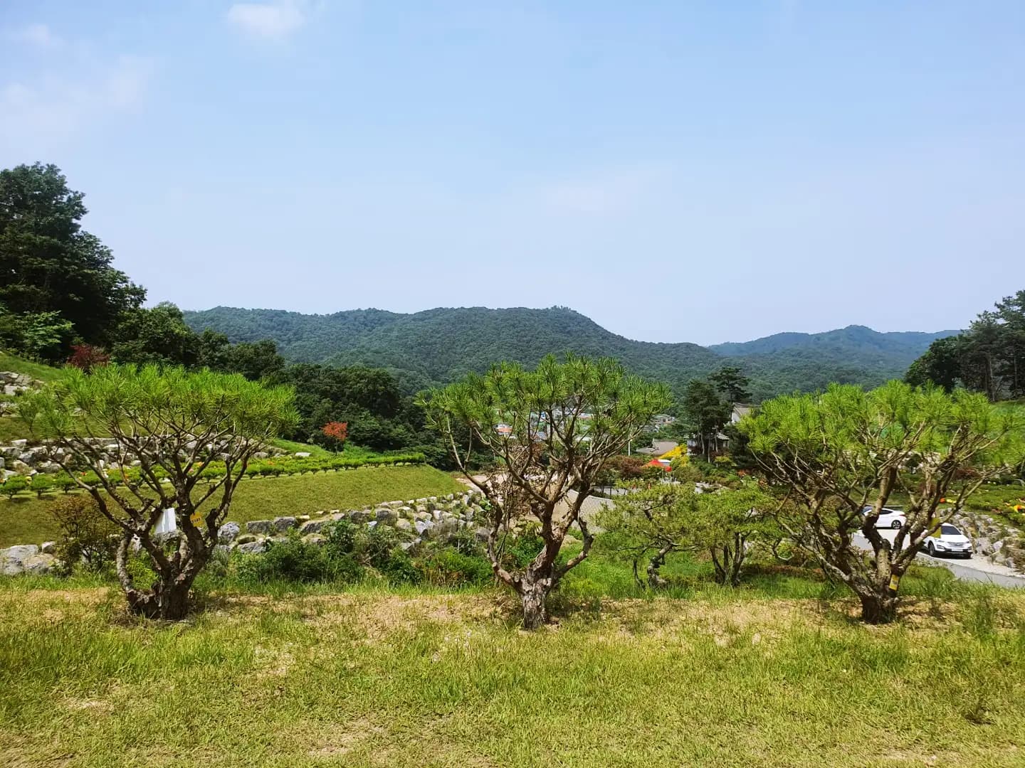 place image