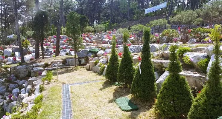 place image