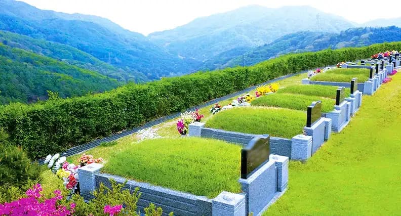 place image